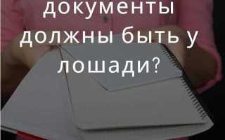 Какие документы должны быть на сайте