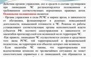 Кто руководит рсчс в рф