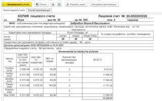 Копия финансового лицевого счета где