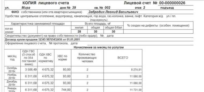 Копия финансового лицевого счета где