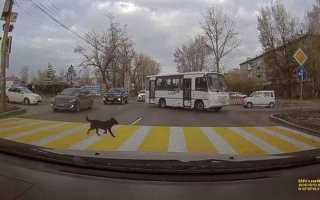 Куда надо смотреть когда переходишь дорогу