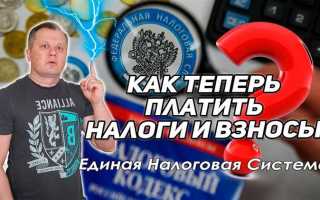 Как разыскать платеж в налоговой