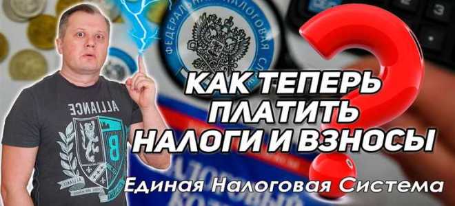 Как разыскать платеж в налоговой