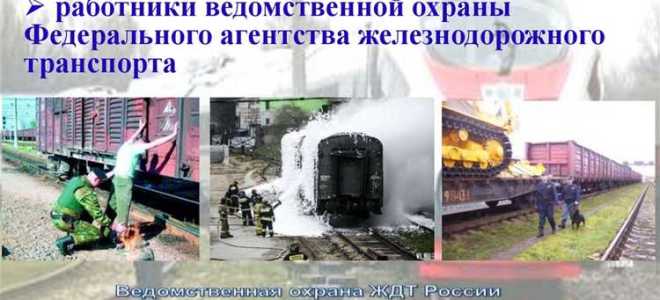 Кого включают силы обеспечения транспортной безопасности