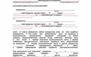 Сколько стоит доверенность на представление интересов в суде