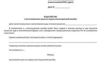 Как обжаловать определение об отказе в восстановлении пропущенного срока