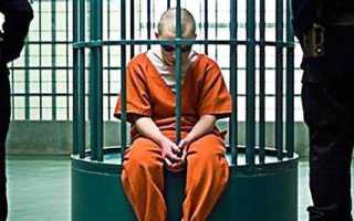 За что дают 8 лет тюрьмы