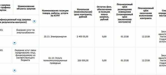 Какой размер обеспечения заявки предусмотрен для закупки у единственного поставщика