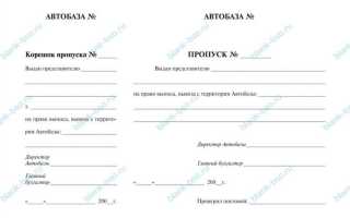 Как осуществляется выдача пропусков любого установленного образца