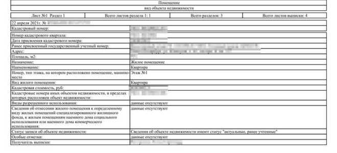 Как выглядит выписка из егрн на земельный участок