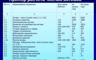 Что может стать причиной снижения величины чистых активов организации