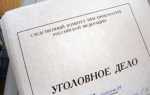 Номер уголовного дела из чего состоит