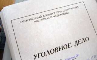 Номер уголовного дела из чего состоит