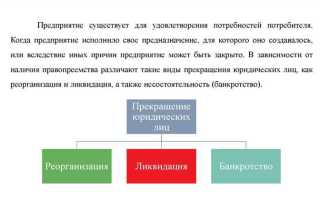 Чем реорганизация отличается от ликвидации