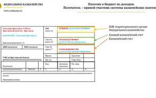 Платежные документы это какие документы