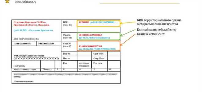 Платежные документы это какие документы