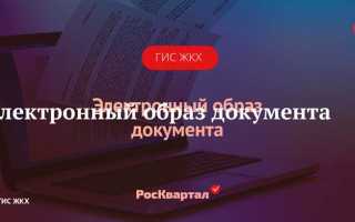 Электронный образ документа что это