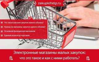 Что такое электронный магазин в госзакупках