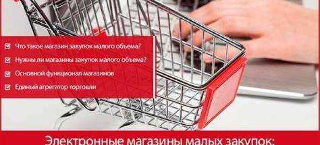 Что такое электронный магазин в госзакупках