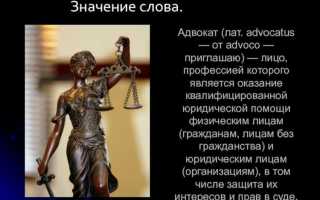 Лицо профессией которого является оказание квалифицированной юридической помощи физическим лицам