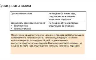 Как называется прибыль освобождаемая от уплаты налога на нее