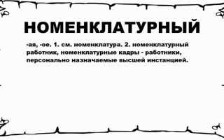 Номенклатурный номер что это такое