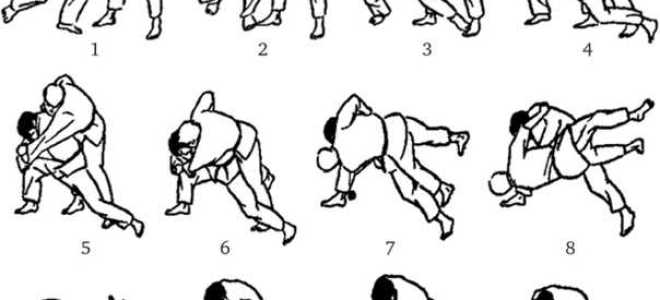 Как получить кмс по дзюдо