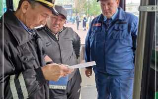 Транспортники на дорогах что проверяют