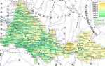 Сколько районов в оренбургской области