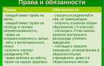 Какой из элементов права или обязанности доминирует