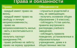 Какой из элементов права или обязанности доминирует