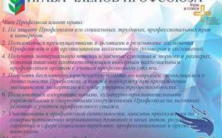 Профком и профсоюз в чем отличие