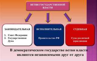 Губернатор области какая ветвь власти