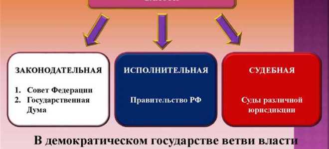 Губернатор области какая ветвь власти