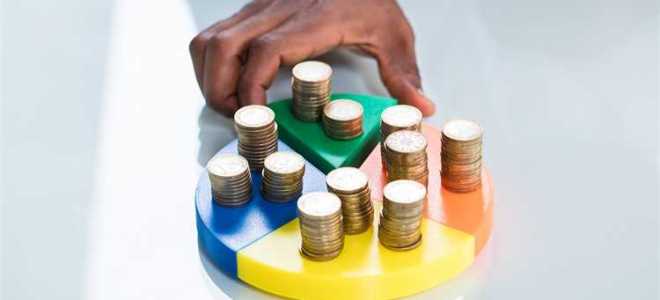 Паевые инвестиционные фонды что это