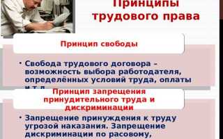 Трудовой кодекс как источник трудового права