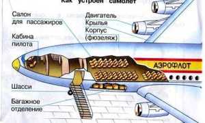 Экипаж самолета состоит из кого