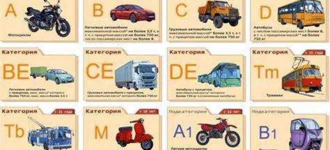 Что попадает под категорию м