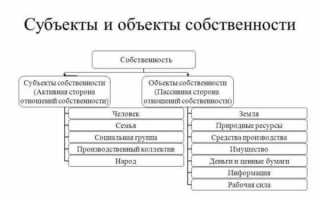 Форма собственности организации какие бывают