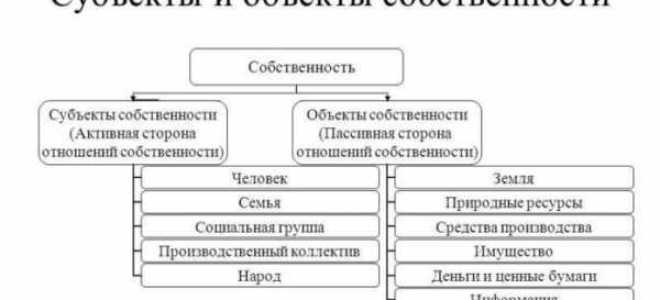 Форма собственности организации какие бывают