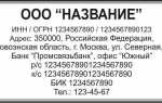 Название или наименование организации как правильно