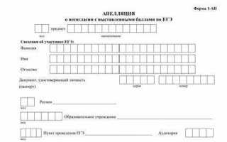 Как правильно подать апелляцию или подать на апелляцию