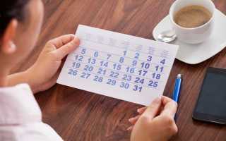 Какое изменение по отпускам 2023 г