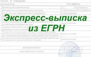 С какого года егрн вместо свидетельства