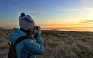 Что разрешено делать в заповеднике
