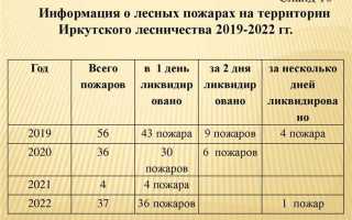 Как часто проводится осмотр лесов в организациях