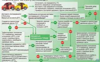 Осаго как действует при дтп