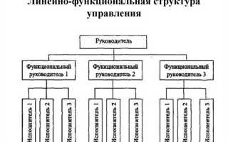 Организация и учреждение в чем разница