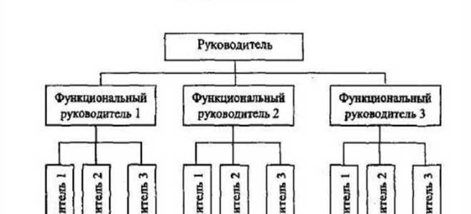 Организация и учреждение в чем разница