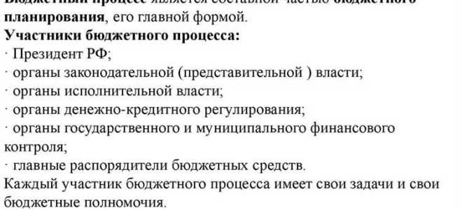 Кто относится к участникам бюджетного процесса